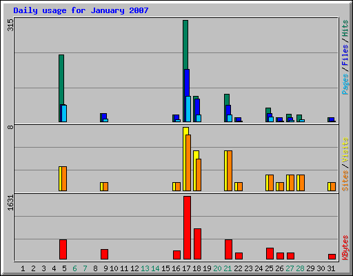 Daily usage for January 2007
