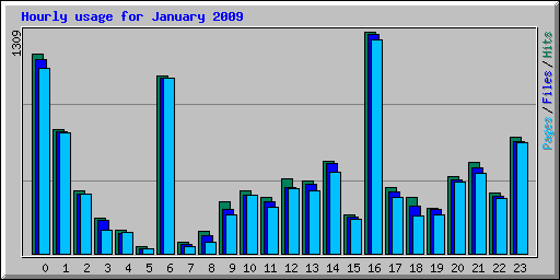 Hourly usage for January 2009