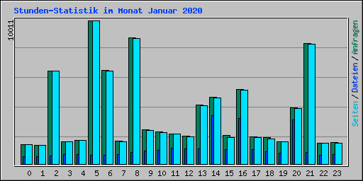 Stunden-Statistik im Monat Januar 2020