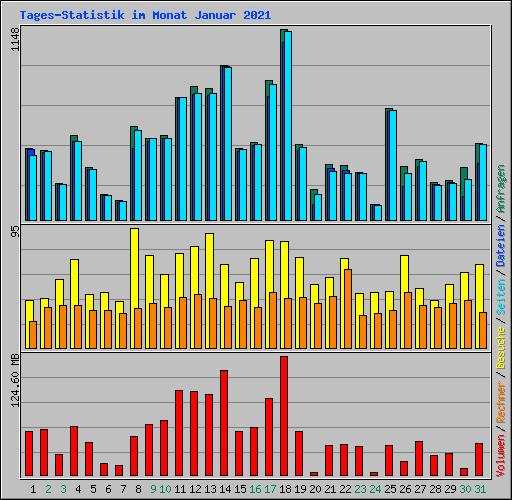 Tages-Statistik im Monat Januar 2021