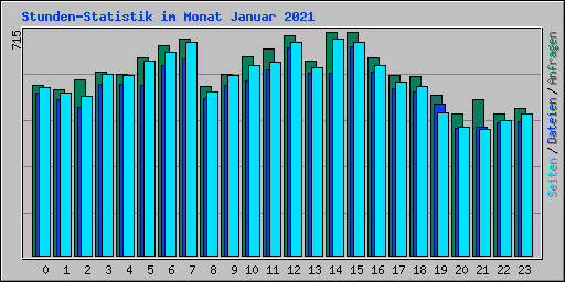 Stunden-Statistik im Monat Januar 2021