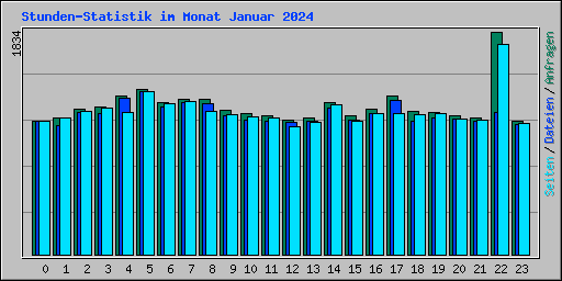 Stunden-Statistik im Monat Januar 2024