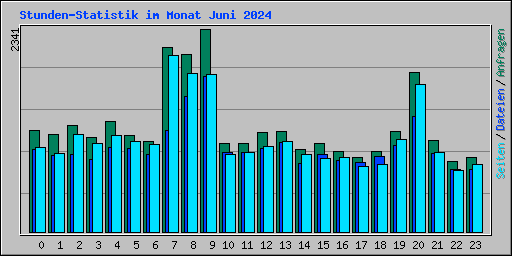Stunden-Statistik im Monat Juni 2024