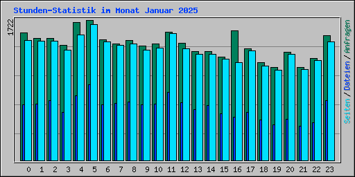 Stunden-Statistik im Monat Januar 2025
