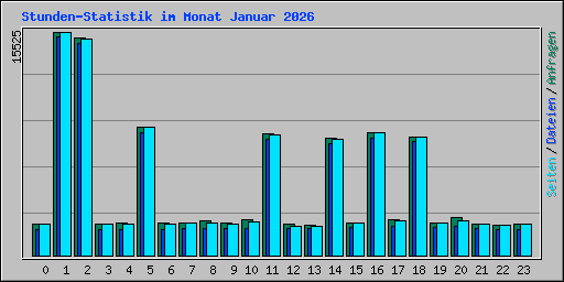 Stunden-Statistik im Monat Januar 2026